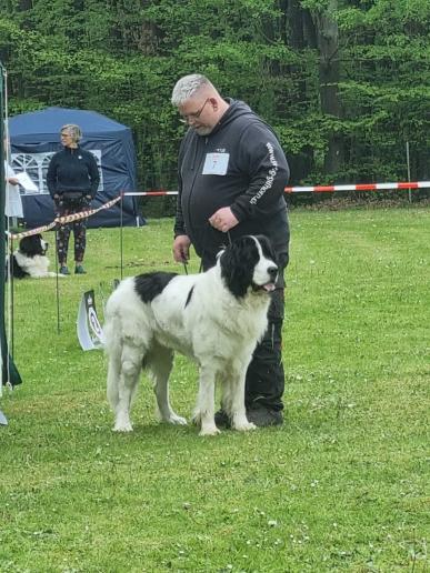 Bonzo auf der ZEB / Clubschau in Lützelbach
