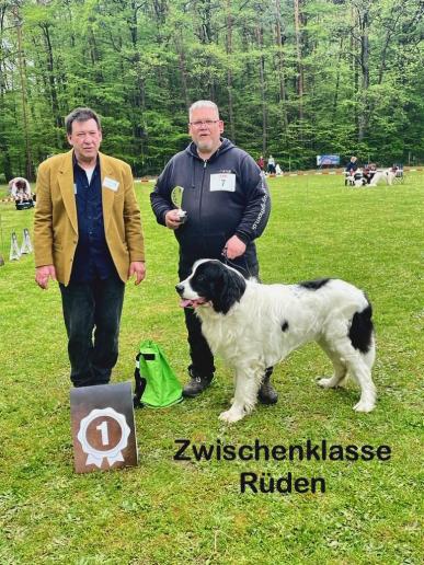 Bonzo auf der Clubschau in Lützelbach SG 1
